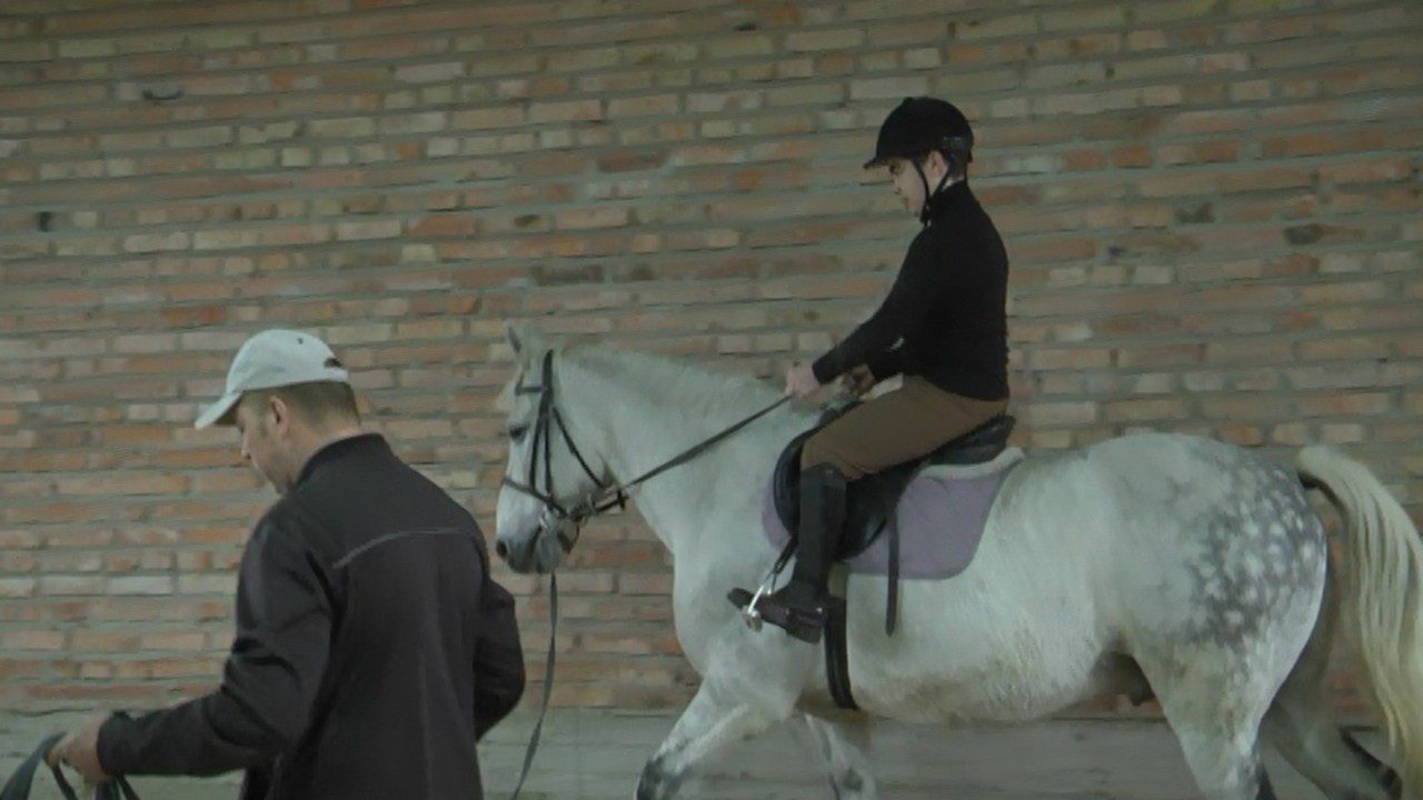 верхи на конях