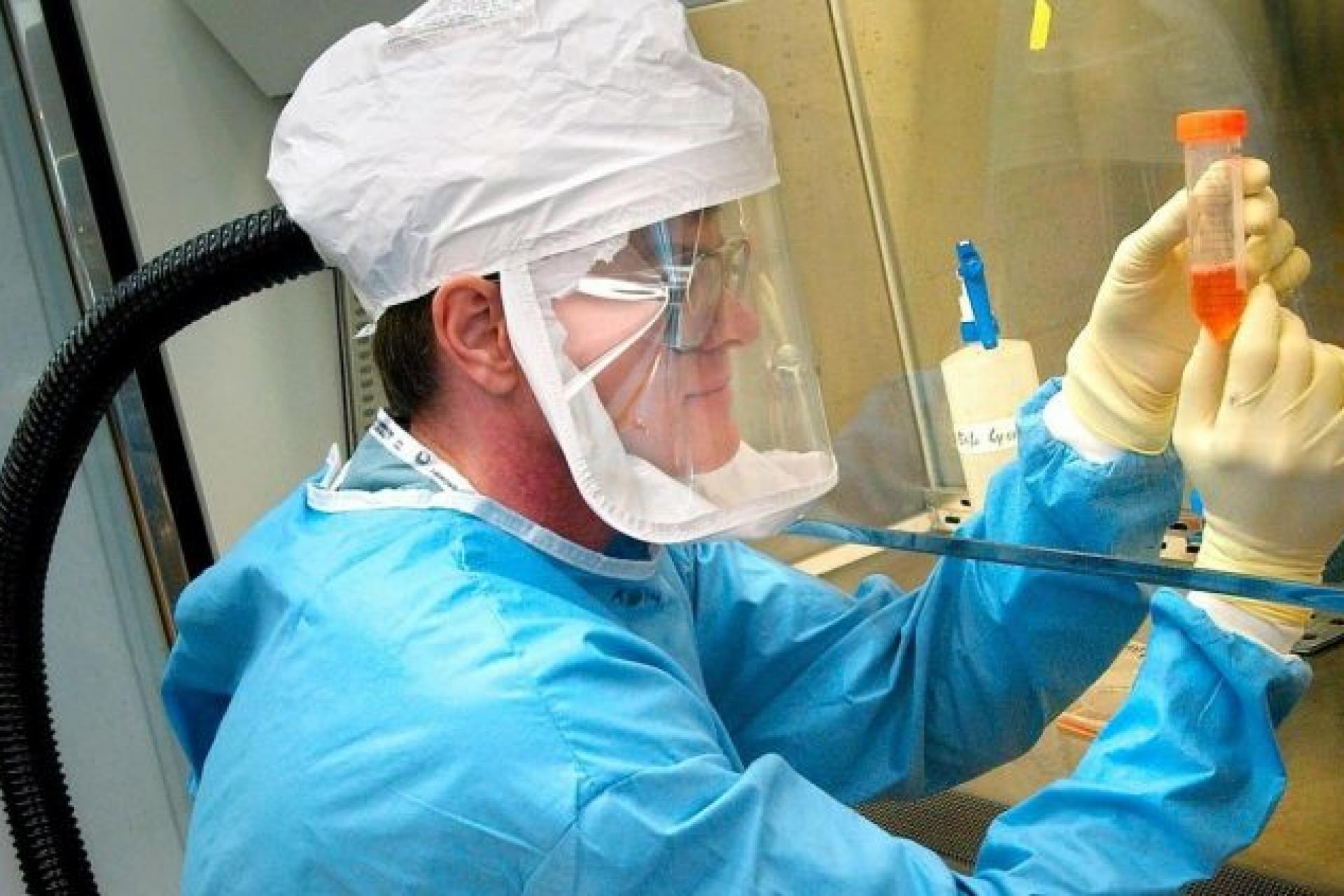 дослідження