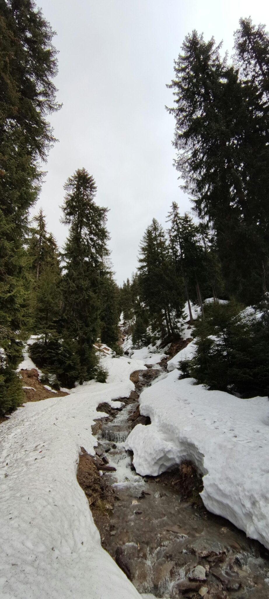 Жінка йде по стежці в осінньому парку, зосереджена на ходьбі