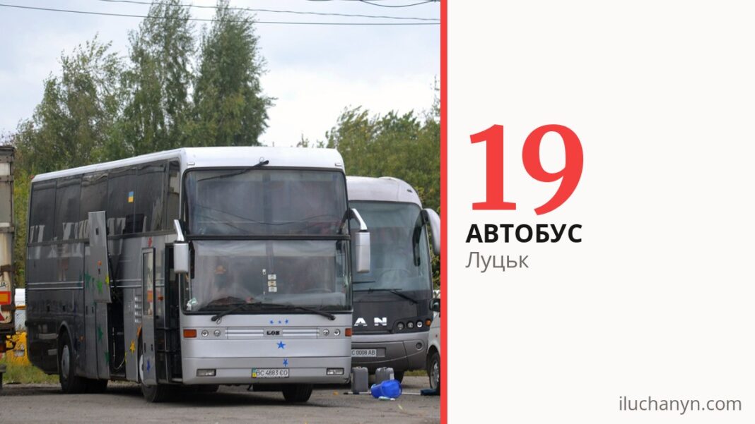Автобус 19 у Луцьку