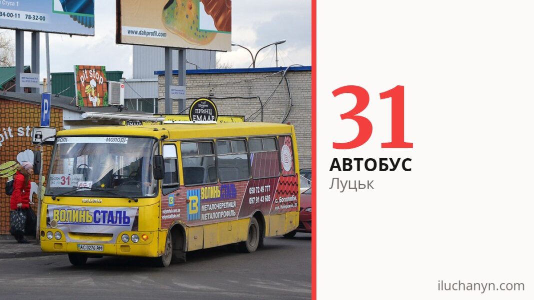 Автобус 31 у Луцьку